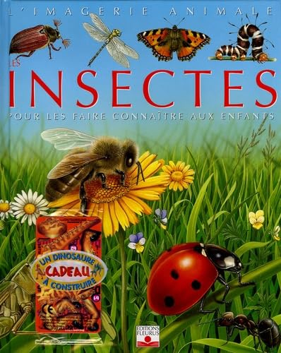 Les insectes: Pour les faire connaître aux enfants