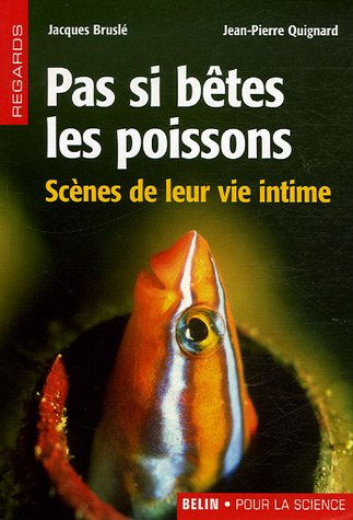 Pas si bêtes les poissons : scènes de leur vie intime
