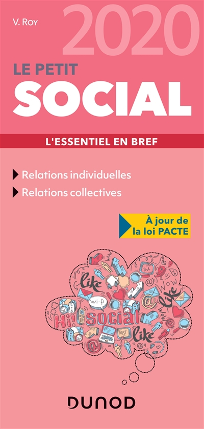 Le petit social 2020 : l'essentiel en bref
