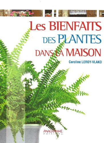 Les bienfaits des plantes dans la maison