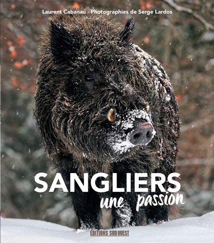 Sangliers : une passion