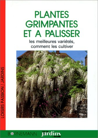 Plantes grimpantes et à palisser : les meilleures variétés, comment les cultiver