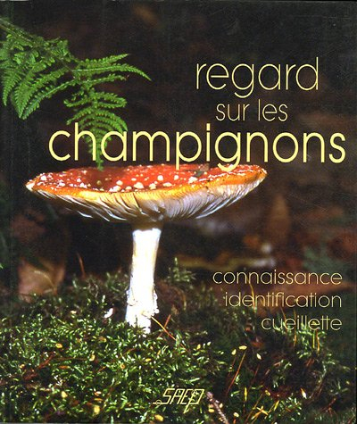 Regard sur les champignons : connaissance, identification, cueillette