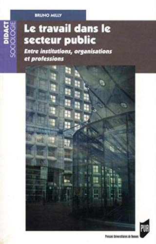 Le travail dans le secteur public : entre institutions, organisations et professions