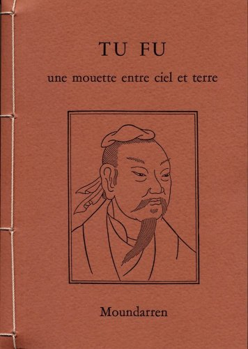 Une mouette entre ciel et terre