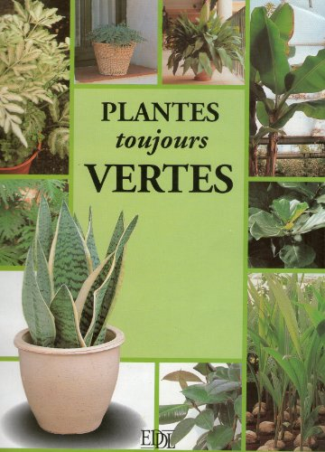 plantes toujours vertes