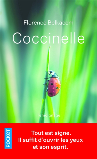 Coccinelle : récit