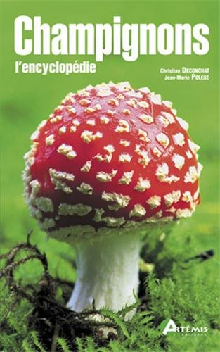 Champignons : l'encyclopédie