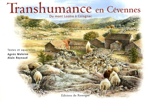Transhumance en Cévennes, du mont Lozère à Colognac