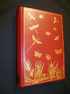 le monde merveilleux des insectes