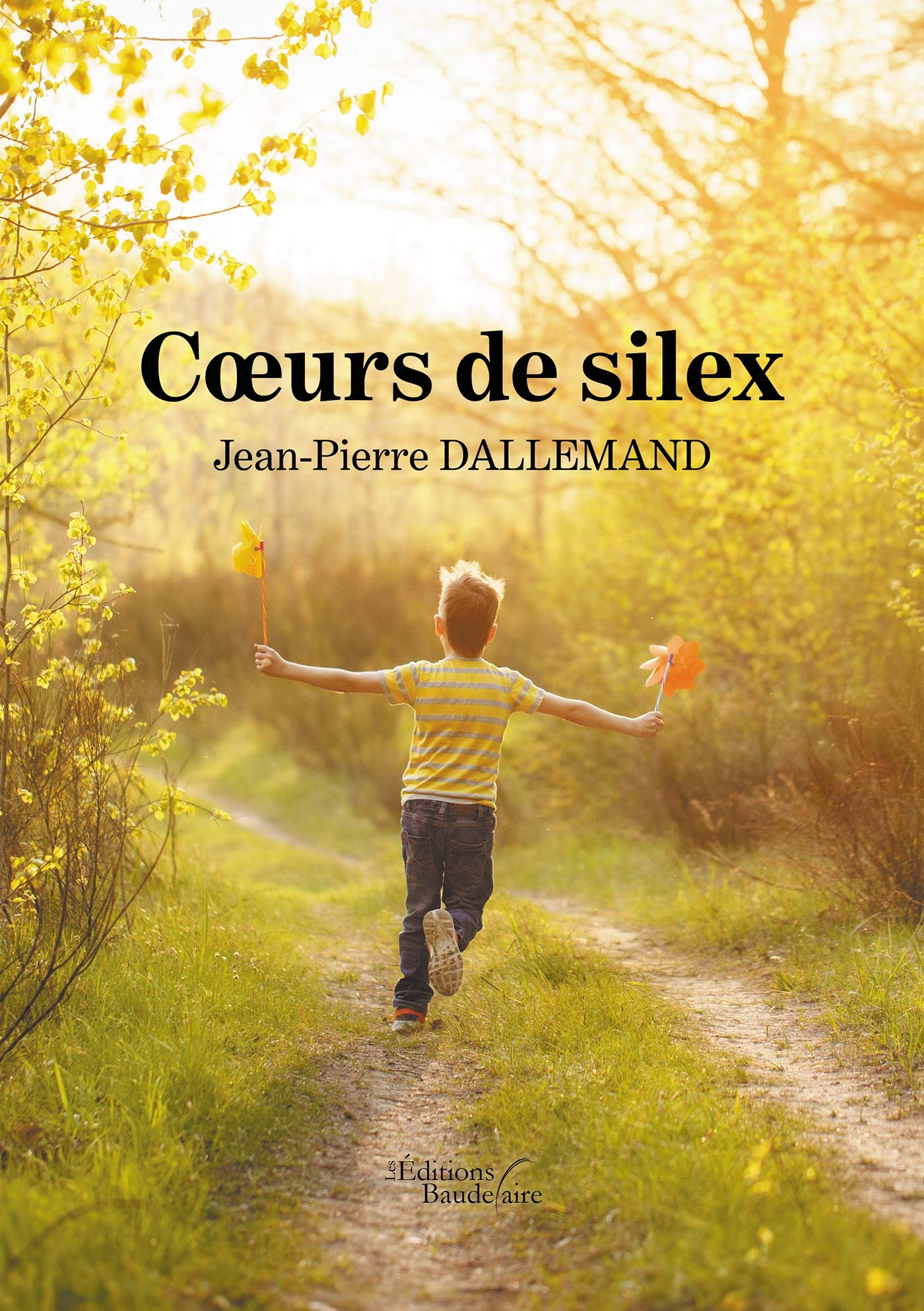 Coeurs de silex