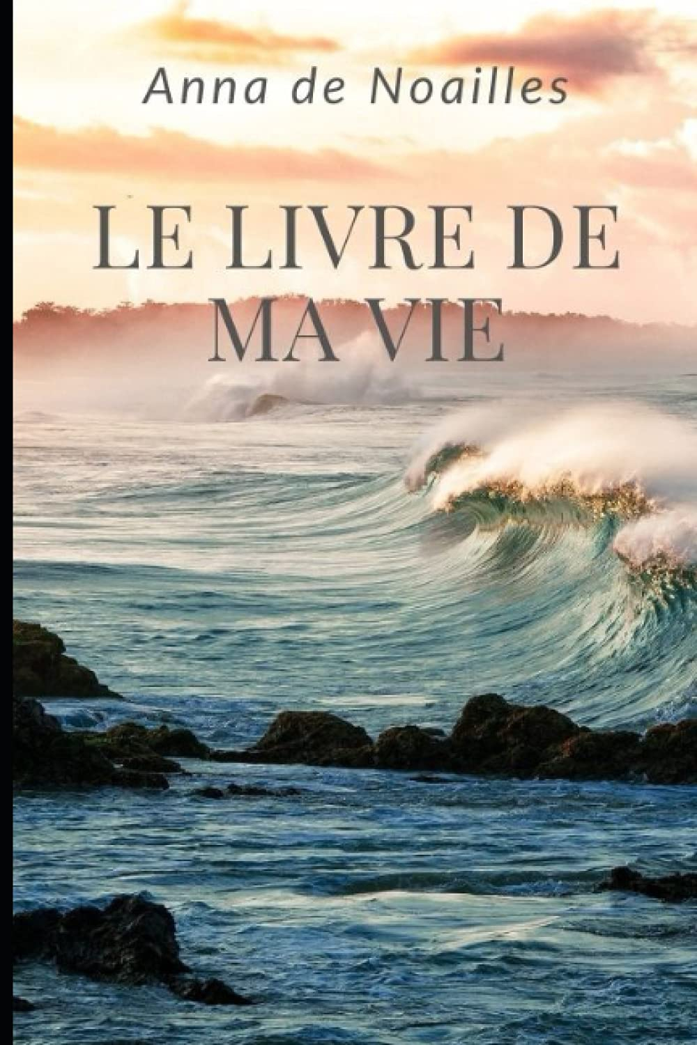Le Livre De Ma Vie