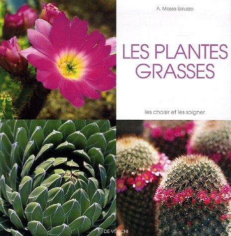 Les plantes grasses : les choisir et les soigner