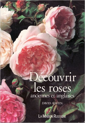 Découvrir les roses anciennes et anglaises