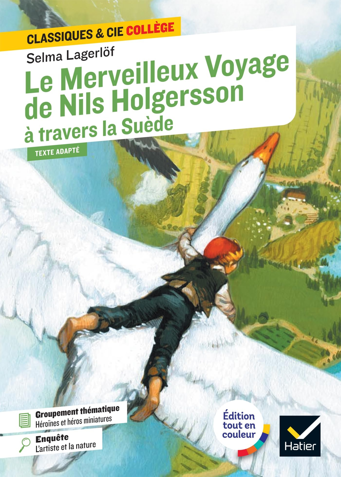 Le merveilleux voyage de Nils Holgersson