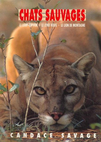 Chats sauvages