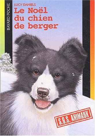 Le Noël du chien de berger