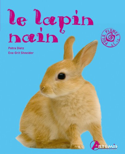 Le lapin nain