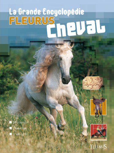 Cheval : découvrir, observer, s'amuser