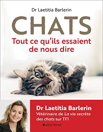 Chats : tout ce qu'ils essaient de nous dire