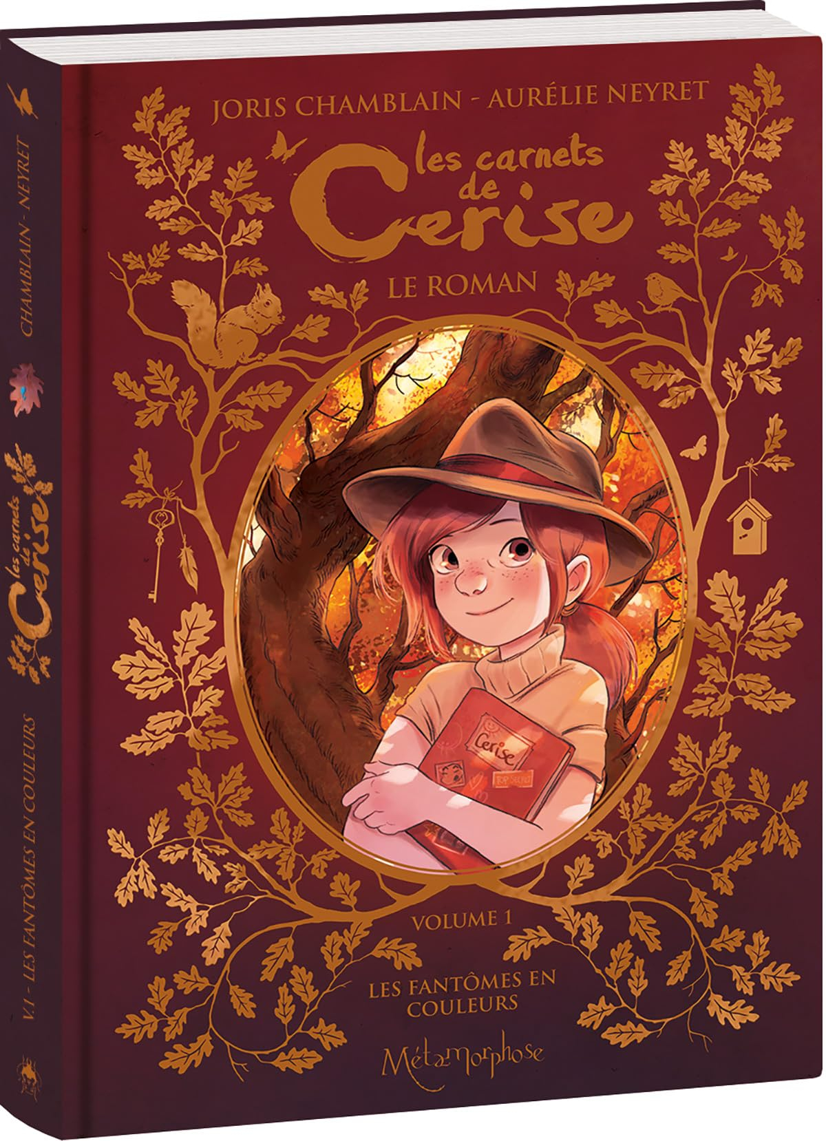 Les carnets de Cerise : le roman. Vol. 1. Les fantômes en couleurs