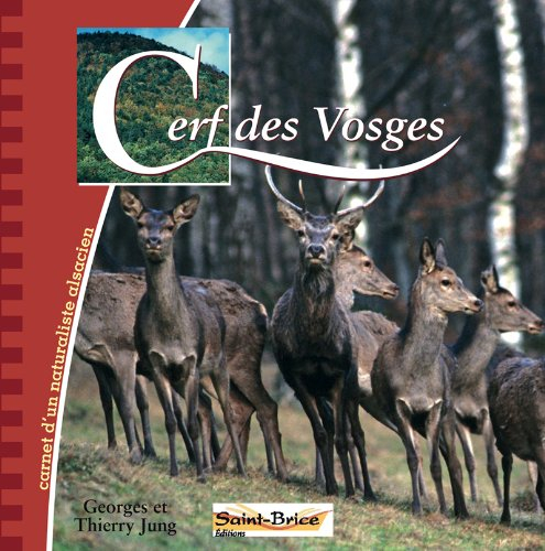 cerf des vosges