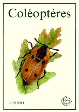 coléoptères