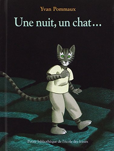 Une nuit, un chat...