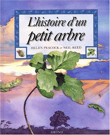 L'histoire d'un petit arbre