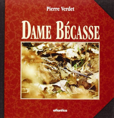 Dame Bécasse