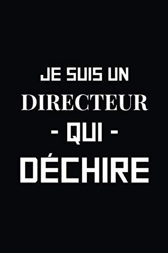 Je suis un Directeur qui déchire: Journal/Carnet de notes ligné drôle pour directeur, Joli cadeau or