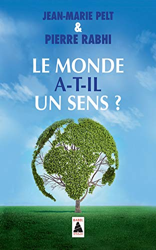 Le monde a-t-il un sens ? : essai