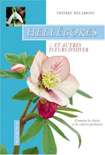 Héllébores & autres fleurs d'hiver