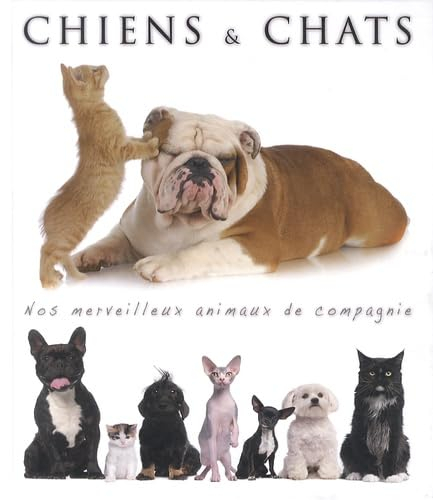 Chiens & chats : nos merveilleux animaux de compagnie
