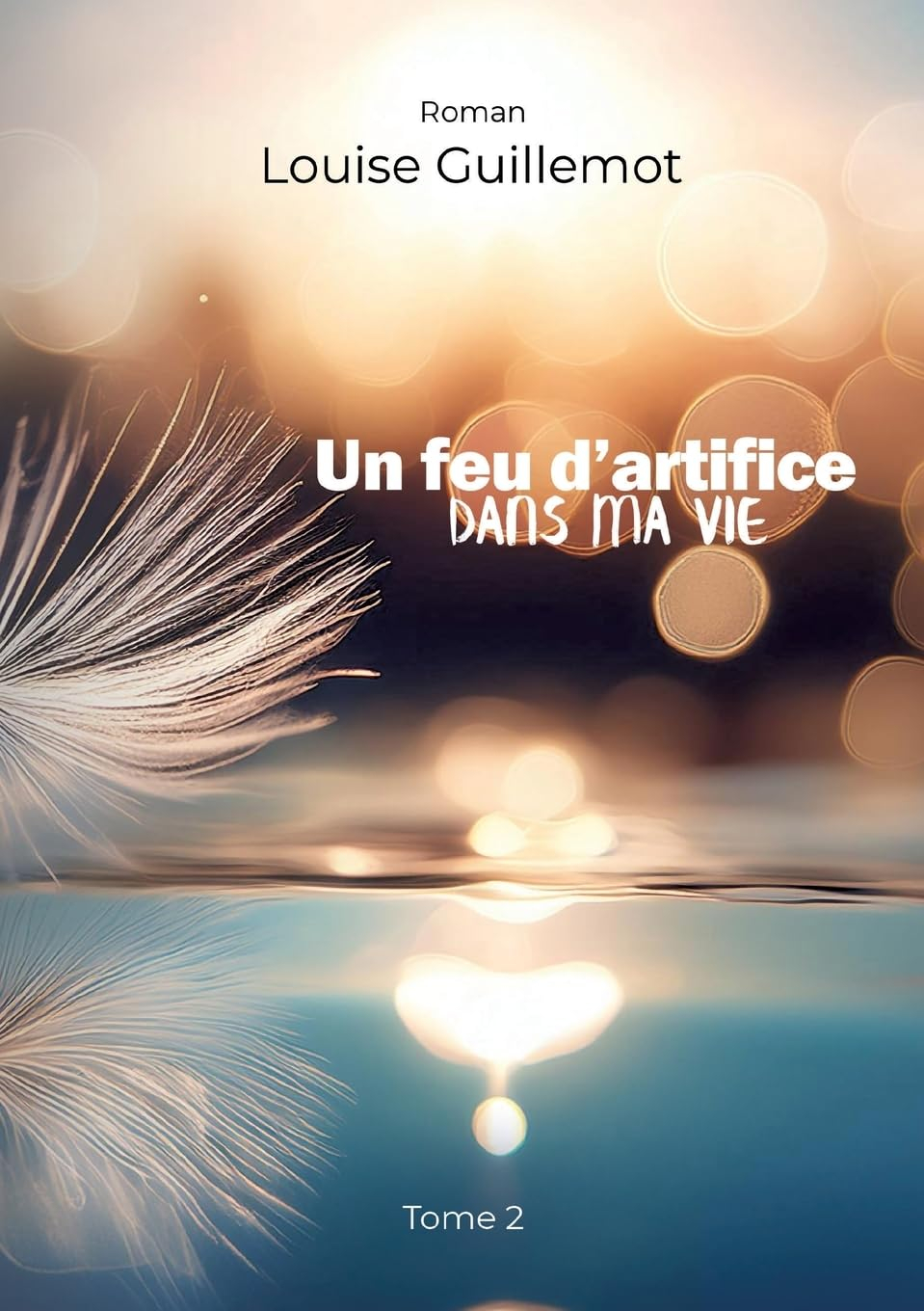 Un feu d'artifice dans ma vie. Vol. 2. Apprivoiser l'inconnu