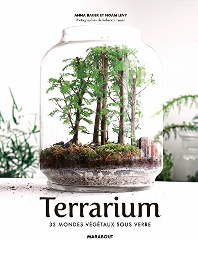 Terrariums : les mondes végétaux sous verre