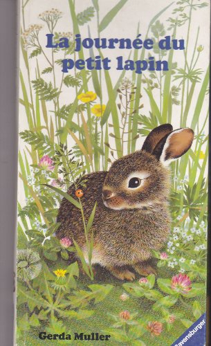 la journée du petit lapin