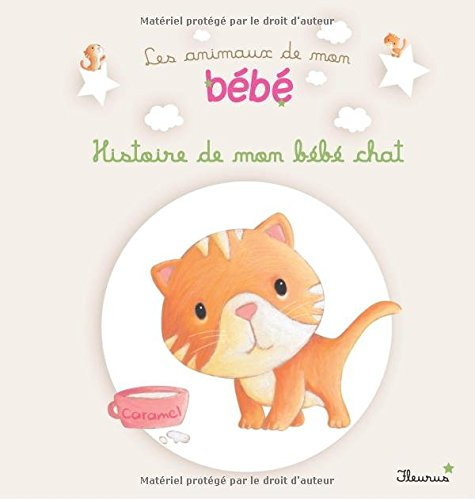Histoire de mon bébé chat