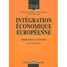 Intégration économique européenne : problèmes et analyses