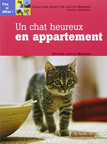 Un chat heureux en appartement