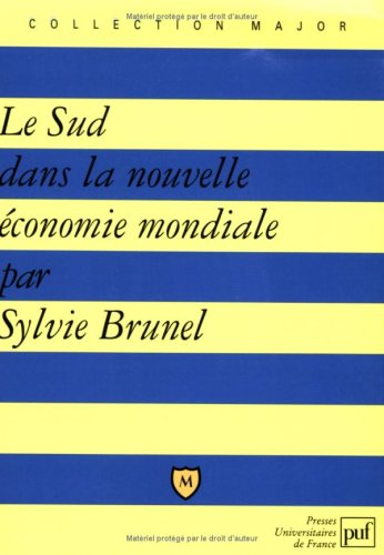 Le Sud dans la nouvelle économie mondiale