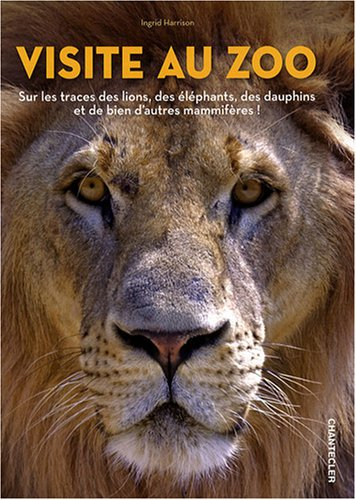 Visite au zoo : sur les traces des lions, des éléphants, des dauphins et de bien d'autres mammifères