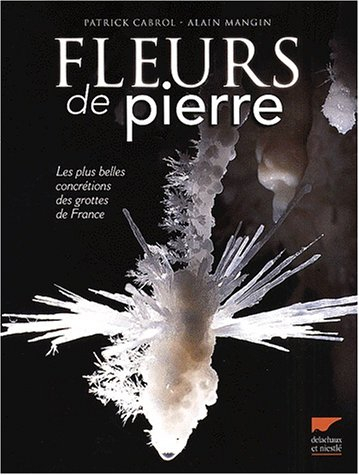 Fleurs de pierre : les plus belles concrétions des grottes de France