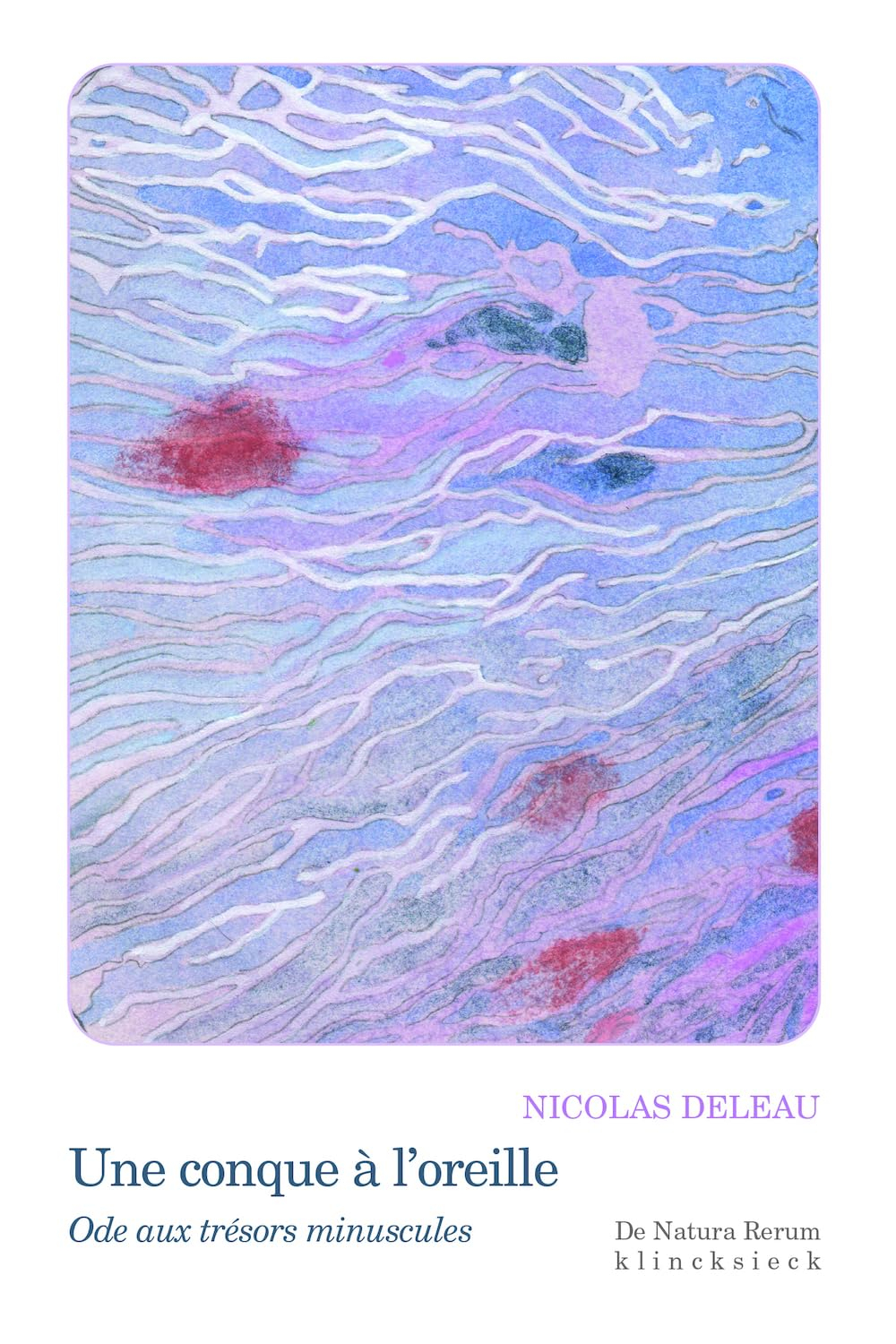 Une conque à l'oreille : ode aux trésors minuscules