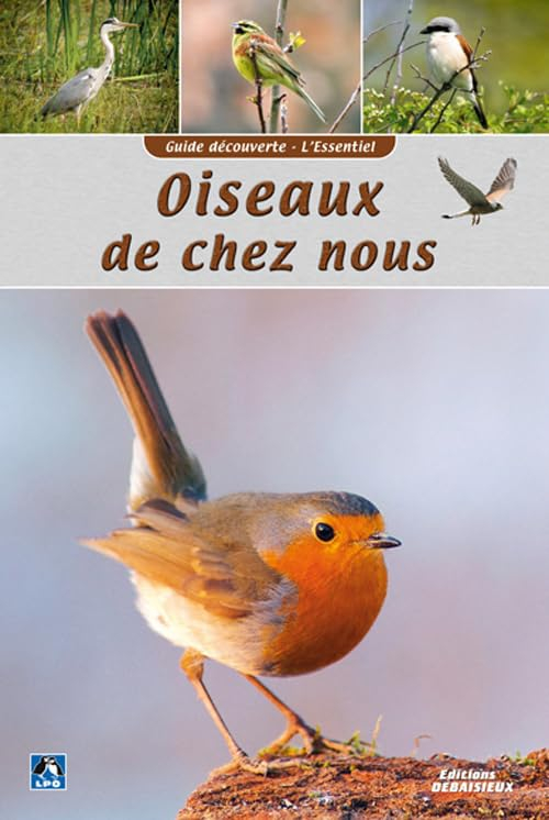 Oiseaux de chez nous