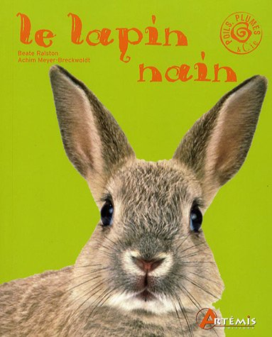Le lapin nain