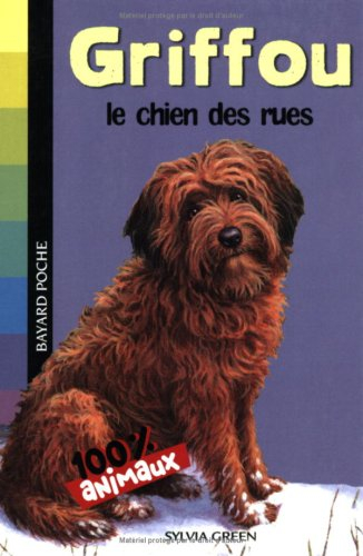 Griffou, le chien des rues