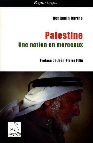 Palestine : une nation en morceaux