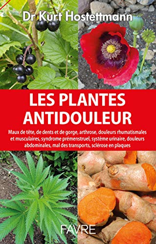Les plantes antidouleur : maux de tête, de dents et de gorge, arthrose, douleurs rhumatismales et mu
