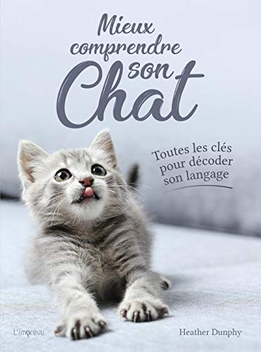 Mieux comprendre son chat : toutes les clés pour décoder son langage